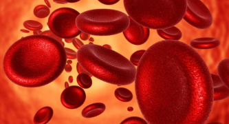 শৰীৰত হিমগ্লবিনৰ মাত্ৰা কমি গৈছে? খাদ্যৰ তালিকাত কি কি ৰাখিব?