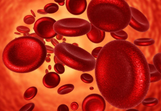 শৰীৰত হিমগ্লবিনৰ মাত্ৰা কমি গৈছে? খাদ্যৰ তালিকাত কি কি ৰাখিব?