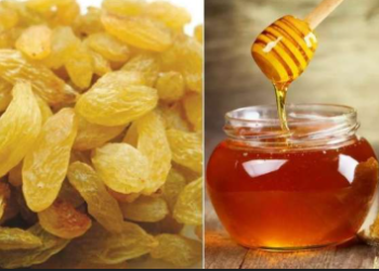 মৌ আৰু কিচমিচ খাই সুখী কৰিব পাৰে দাম্পত্য জীৱন, এই দুবিধ খাদ্যই শৰীৰক কি কি লাভালাভ দিয়ে?