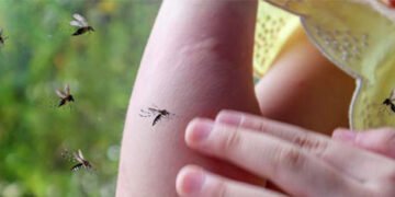World Malaria Day 2026: শৰীৰৰ বিষ আৰু অত্যাধিক জ্বৰ, মেলেৰিয়া ডেংগুতকৈ কিমান পৃথক?