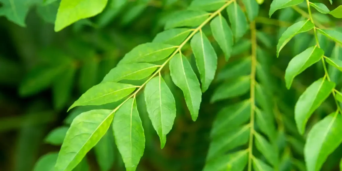 প্ৰাকৃতিক উপাদানেৰে উজ্জ্বল কৰক ছাল, জানি লওক সহজ টিপছ