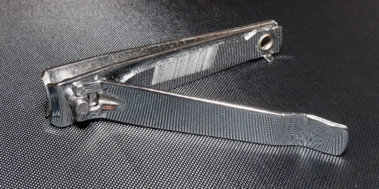 নেইল কাটাৰৰ পিছৰ অংশত কিয় ফুটা থাকে? ৯৯% লোকে নাযানে সঠিক উত্তৰ