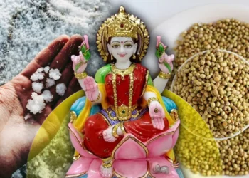 ভাগ্য হ’ব উদয়, অক্ষয় তৃতীয়াত ঘৰলৈ আনক এই দুবিধ সামগ্ৰী!