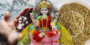 ভাগ্য হ’ব উদয়, অক্ষয় তৃতীয়াত ঘৰলৈ আনক এই দুবিধ সামগ্ৰী!