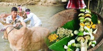 আজি গৰু বিহু, ৰঙালীৰ ৰঙত ৰঙীণ চহা অসমীয়া, জানক পৰম্পৰাৰ বিষয়ে