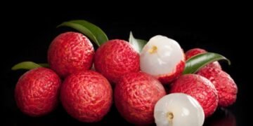 লিচু খোৱাৰ পূৰ্বে মনত ৰাখক এই কথা, অন্যথা হ’ব পাৰে বিপদ!