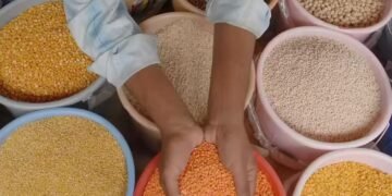 ৰেচন কাৰ্ডকলৈ ডাঙৰ আপডেট, কৰ্তন হ’ব পাৰে আপোনাৰ ৰেচন কাৰ্ড!