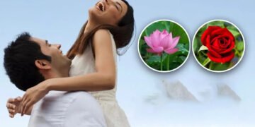 আপোনাৰ সংগীৰ প্ৰিয় ফুলৰ পৰা জানক প্ৰেমৰ গভীৰতা!