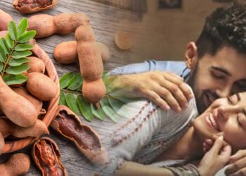 তেতেলীৰ বীজে জাগ্ৰত কৰে পুৰুষৰ কামনা! আজিয়েই জানক উপকাৰী গুণৰ বিষয়ে
