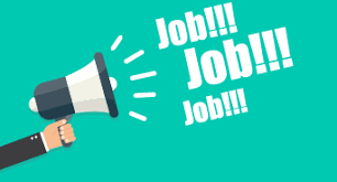 Job Search: ৩০ দিনতে চাকৰি কেনেকৈ বিচাৰি পাব? জানক টিপচ
