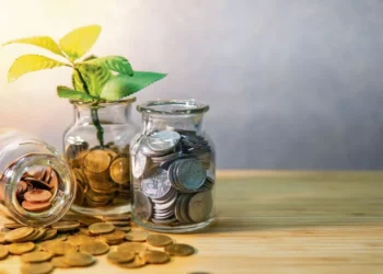 PPF ৰ পৰা NPS লৈকে, মাতৃসকলে কেনেকৈ বচাব পাৰিব কৰ জানক