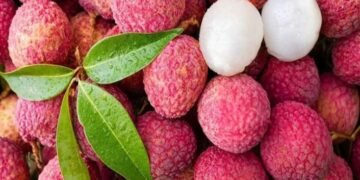 ৰঙা দেখিলেই নিকিনিব লিচু, সকীয়াই দিছে চিকিৎসকে