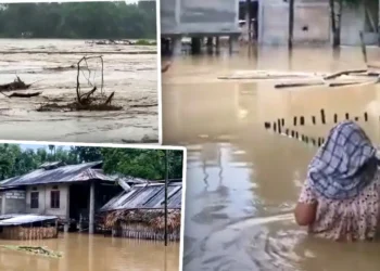 অসমত বানৰ সংহাৰী ৰূপ, অৰুণাচল প্ৰদেশতো মৃত্যু ৩ জনৰ