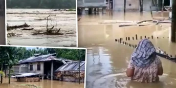 অসমত বানৰ সংহাৰী ৰূপ, অৰুণাচল প্ৰদেশতো মৃত্যু ৩ জনৰ