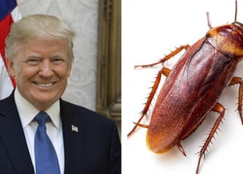 Cockroach Janata Partyৰ সহায়ত ভাৰতক অস্থিৰ কৰিব নেকি আমেৰিকাই?
