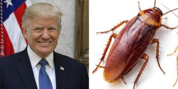 Cockroach Janata Partyৰ সহায়ত ভাৰতক অস্থিৰ কৰিব নেকি আমেৰিকাই?