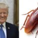 Cockroach Janata Partyৰ সহায়ত ভাৰতক অস্থিৰ কৰিব নেকি আমেৰিকাই?