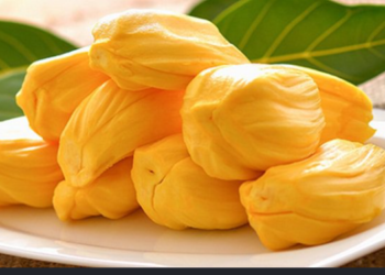 এইকেইটা ৰোগৰ বাবে অতিকৈ উপকাৰী কঠাল