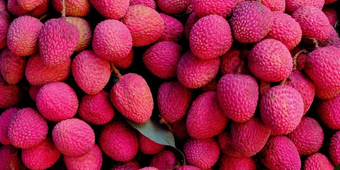 কোনখন দেশত সৰ্বাধিক লিচু উৎপাদন কৰা হয়?