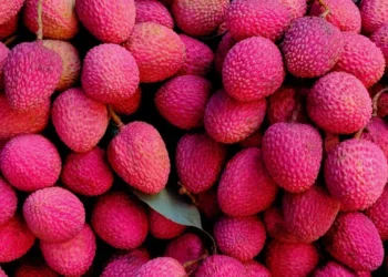 কোনখন দেশত সৰ্বাধিক লিচু উৎপাদন কৰা হয়?