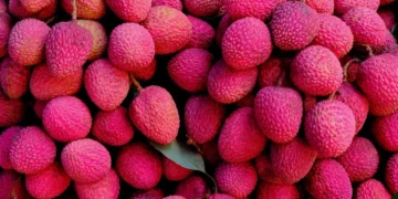 কোনখন দেশত সৰ্বাধিক লিচু উৎপাদন কৰা হয়?