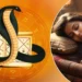 কালসৰ্প দোষ থাকিলে সাৱধান হওক, এটা ভুলে মাতিব বিপদ!