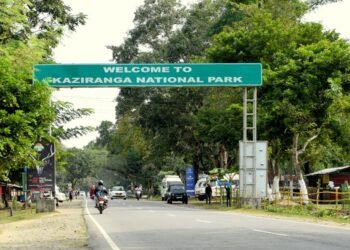 কাজিৰঙাৰ ESZ: ২০১০ৰ পৰা ২০২৬লৈ কাৰ কি স্থিতি?