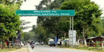 কাজিৰঙাৰ ESZ: ২০১০ৰ পৰা ২০২৬লৈ কাৰ কি স্থিতি?