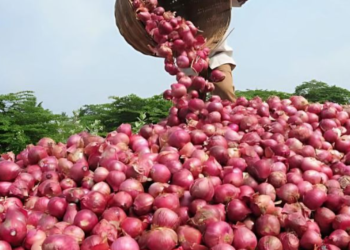 পিঁয়াজেও নিয়ন্ত্ৰণ কৰিব পাৰে ডায়েবেটিছ