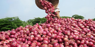 পিঁয়াজেও নিয়ন্ত্ৰণ কৰিব পাৰে ডায়েবেটিছ