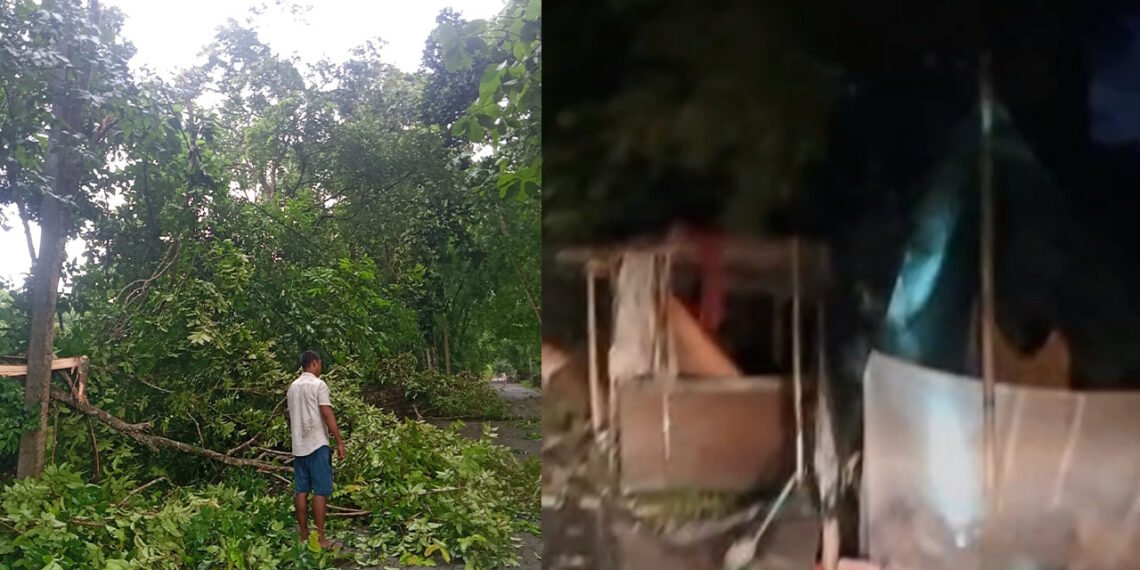বানৰ মাজতে ধুমুহাৰ তাণ্ডৱ, ধুমুহাই উৰুৱাই নিলে বন্যাৰ্তৰ আশ্ৰয় শিবিৰ!