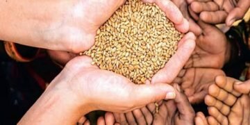 ৰেচন কাৰ্ডৰ ডাঙৰ আপডেট, কৰ্তন হ’ব পাৰে আপোনাৰ ৰেচন কাৰ্ড!