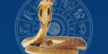 কালসৰ্প দোষৰ পৰা সাৱধান! ধ্বংস কৰি দিব আপোনাৰ জীৱন