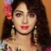 শ্ৰীদেৱীৰ প্ৰেমত মতলীয়া আছিল এইজন ছুপাৰষ্টাৰ