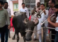 ম’হ লৈ কাৰ্যালয়লৈ আহিল কাউন্সিলাৰ, লগত বেণ্ড পাৰ্টী