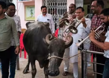 ম’হ লৈ কাৰ্যালয়লৈ আহিল কাউন্সিলাৰ, লগত বেণ্ড পাৰ্টী
