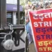 একেৰাহে বন্ধ থাকিব বেংক! জানক UPI, ATM আৰু নেট বেংকিং চলি থাকিবনে?