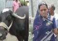 ম’হে গিলিলে ডেৰ লাখটকীয়া সোণৰ মংগলসূত্ৰ