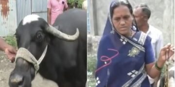 ম’হে গিলিলে ডেৰ লাখটকীয়া সোণৰ মংগলসূত্ৰ