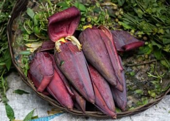 কলডিল প্ৰিয় নে? কলতকৈ বেছি উপকাৰী কলডিল!