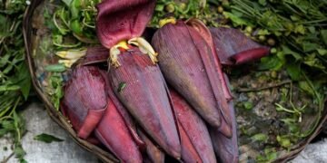 কলডিল প্ৰিয় নে? কলতকৈ বেছি উপকাৰী কলডিল!