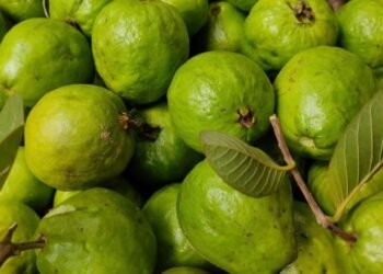 প্ৰতিদিনে এটা মধুৰিআম খালে শৰীৰত দেখিব আচৰিত প্ৰভাৱ!