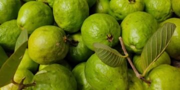 প্ৰতিদিনে এটা মধুৰিআম খালে শৰীৰত দেখিব আচৰিত প্ৰভাৱ!