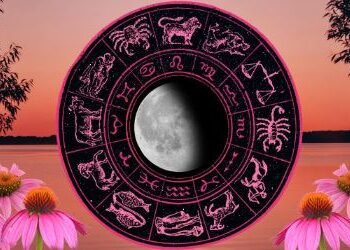 কেনে যাব আপোনাৰ আগন্তুক সপ্তাহ?