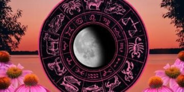 কেনে যাব আপোনাৰ আগন্তুক সপ্তাহ?